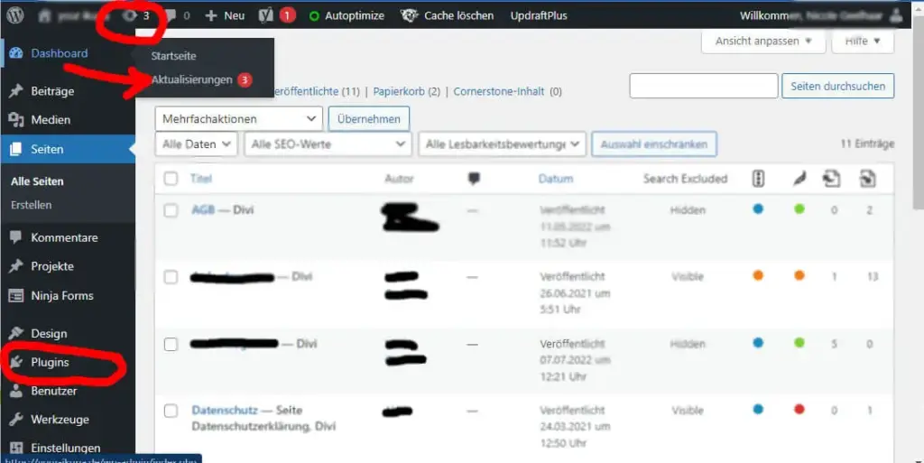 WordPress Plugins updaten